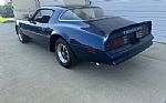 1978 Trans Am Thumbnail 2