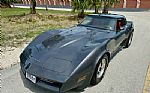 1981 Corvette Thumbnail 19