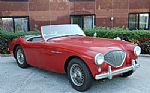 1955 Austin Healey 100-4 BN1