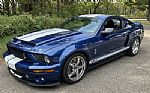 2008 Ford Shelby