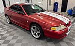 1998 Mustang Thumbnail 5