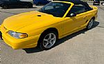 1998 Mustang Thumbnail 2