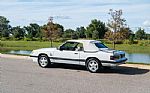 1984 Mustang Thumbnail 41