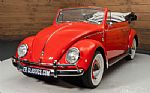 1962 Beetle Thumbnail 7