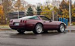 1993 Corvette Thumbnail 12