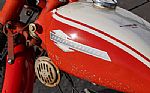 1963 Aermacchi Thumbnail 5