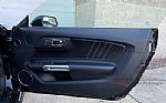 2015 Mustang Thumbnail 100