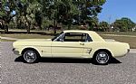 1966 Mustang Thumbnail 2