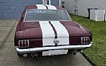 1966 Mustang Thumbnail 3