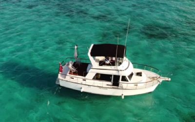 Photo of a 1987 Atlantic Prairie for sale