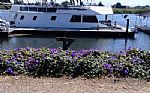2004 Houseboat Thumbnail 7