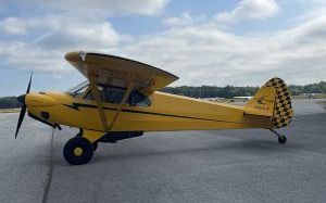 Photo of a 2014 Cubcrafters CC11-160 Aircraft for sale