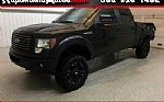 2012 F-150 Thumbnail 1