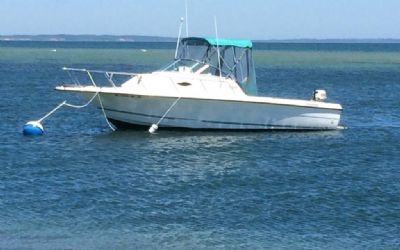 Photo of a 1996 Sunbird Neptune 230 for sale