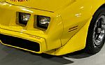 1979 TRANS AM Thumbnail 2