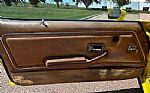 1979 TRANS AM Thumbnail 10