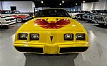 1979 TRANS AM Thumbnail 49