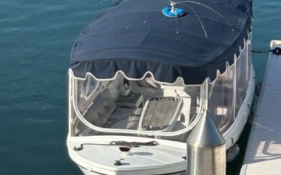 Photo of a 2001 Duffy Electric 18 Boat for sale