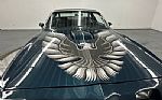 1979 Trans Am Thumbnail 46