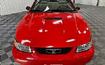 2000 Mustang Thumbnail 7