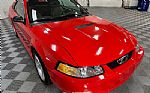 2000 Mustang Thumbnail 10