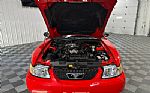 2000 Mustang Thumbnail 51