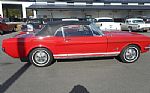 1966 Mustang Thumbnail 4