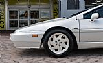 1988 Esprit Thumbnail 23