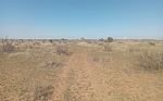2024 162 Acres Thumbnail 8