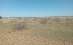 2024 162 Acres Thumbnail 9