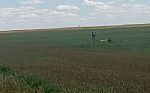 2024 162 Acres Thumbnail 18