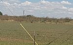 2024 162 Acres Thumbnail 17
