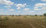2024 162 Acres Thumbnail 16