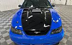 2004 Mustang Thumbnail 4