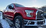 2016 F-150 Thumbnail 3