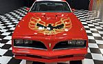 1977 Firebird Trans Am Thumbnail 19