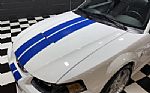 2003 Mustang Thumbnail 15