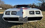 1979 Firebird Trans Am Thumbnail 6