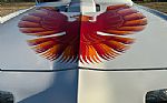 1979 Firebird Trans Am Thumbnail 11