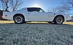 1979 Firebird Trans Am Thumbnail 25