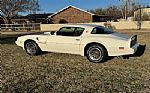 1979 Firebird Trans Am Thumbnail 35