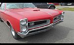 1966 GTO Thumbnail 1