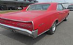 1966 GTO Thumbnail 24