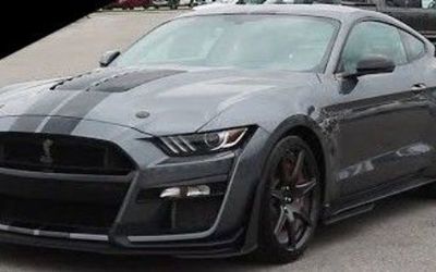 Photo of a 2021 Ford Mustang Shelby GT500 Carbon Fiber Track Pack Tech Pack Stripe for sale