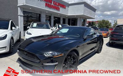 Photo of a 2019 Ford Mustang Ecoboost Fastback for sale