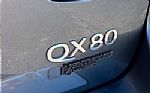 2019 QX80 Thumbnail 8
