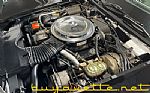 1979 Corvette Thumbnail 28