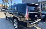 2018 Escalade Luxury Thumbnail 6
