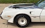 1980 Firebird Trans Am Thumbnail 6