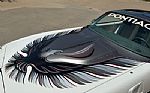 1980 Firebird Trans Am Thumbnail 23